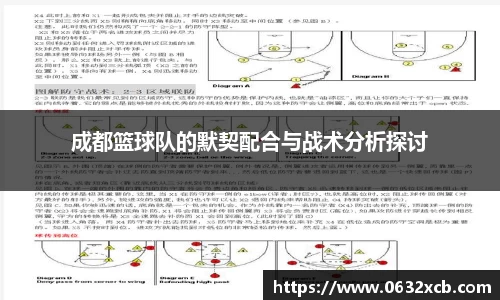 成都篮球队的默契配合与战术分析探讨
