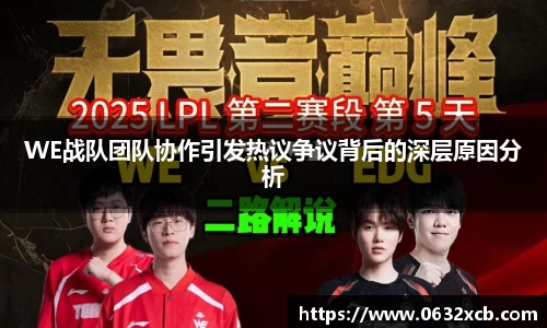 WE战队团队协作引发热议争议背后的深层原因分析